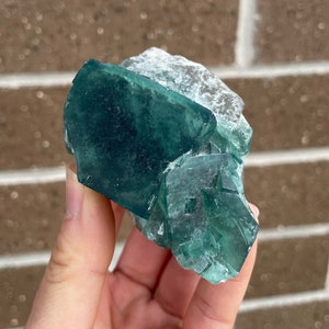 Könnte beinhalten: Ein Cluster aus grünen Fluoritkristallen mit einem glasartigen, durchscheinenden Aussehen. Die Kristalle sind scharf und gut definiert, mit einer Vielzahl von Größen und Formen. Der Fluorit ist ein natürliches Mineral und hat eine schöne grüne Farbe.