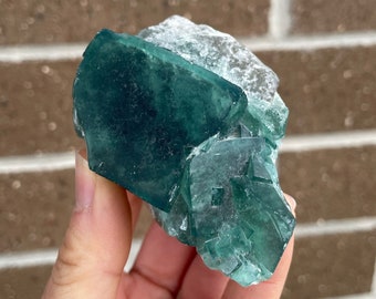 Può includere: Un gruppo di cristalli di fluorite verde con un aspetto vetroso e traslucido. I cristalli sono nitidi e ben definiti, con una varietà di dimensioni e forme. La fluorite è un minerale naturale e ha un bellissimo colore verde.