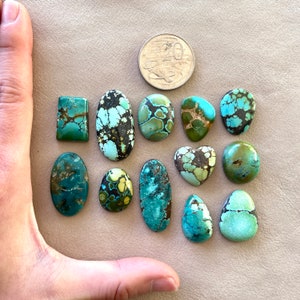 Op de afbeelding: Een verzameling van 12 turquoise cabochons in verschillende vormen en maten, waaronder ovaal, rond, hartvormig en vierkant. De stenen zijn een mix van blauwe, groene en bruine kleuren met ingewikkelde patronen.