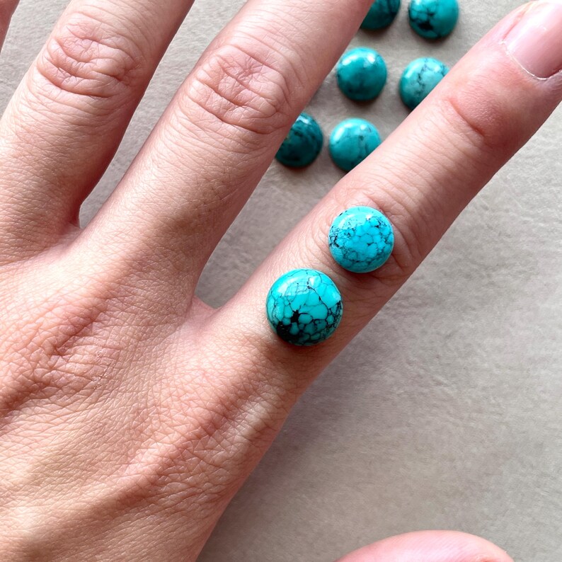 May include: A close-up of two turquoise cabochons with a mottled pattern. The cabochons are round and have a smooth, polished surface. They are a vibrant blue-green color with black veins running through them.