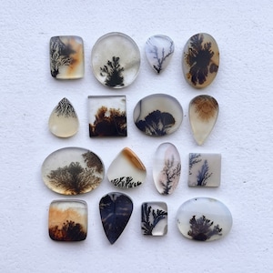 May include: Assortment of 15 dendritic agate cabochons in various shapes and sizes. The cabochons are translucent and feature intricate dendritic patterns in shades of brown and black.