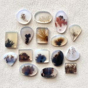 Op de afbeelding: Assortiment van 15 agaat cabochons met dendritische patronen in tinten van bruin, zwart en wit. De cabochons zijn in verschillende vormen en maten, waaronder ovaal, vierkant en druppelvormig.