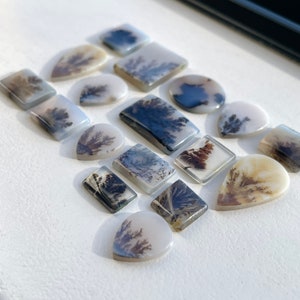 May include: A collection of 16 agate cabochons with dendritic patterns in shades of brown, black, and white. The cabochons are various shapes and sizes, including teardrop, oval, and rectangular.