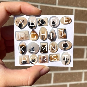 May include: A white card with 20 small, white, agate cabochons, each with a unique dendritic pattern in shades of brown and black. The cabochons are arranged in four rows of five, labeled with letters A through T.