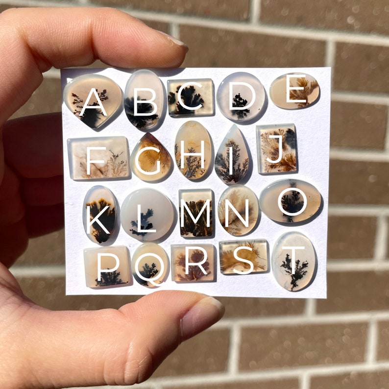 May include: A white card with 20 small, white, agate cabochons, each with a unique dendritic pattern in shades of brown and black. The cabochons are arranged in four rows of five, labeled with letters A through T.