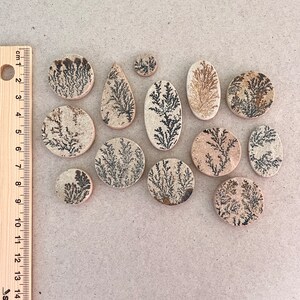 Puede incluir: Una colecci&oacute;n de 13 piedras pulidas, redondas y ovaladas con un patr&oacute;n dendr&iacute;tico en negro y marr&oacute;n sobre un fondo beige.