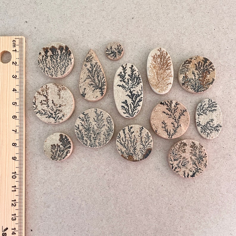 Puede incluir: Una colecci&oacute;n de 13 piedras pulidas, redondas y ovaladas con un patr&oacute;n dendr&iacute;tico en negro y marr&oacute;n sobre un fondo beige.