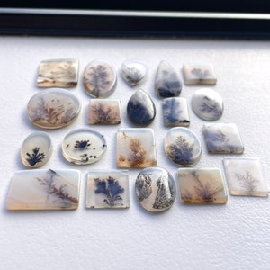 May include: A collection of 18 agate cabochons with dendritic patterns in shades of white, gray, and black. The cabochons are arranged in a grid pattern on a white surface.