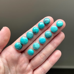 May include: A collection of ten turquoise cabochons, ranging in size, with a blue-green color and brown veining. The cabochons are displayed on a hand.