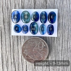 以下が含まれることがあります： 白いカードに2列に並んだ、AからJまでラベル付けされた10個の青いカイヤナイトカボションのクローズアップ。カボションは楕円形で、高さは9〜13ミリメートルです。サイズ比較のために20セント硬貨が含まれています。高さ約9〜13mm
