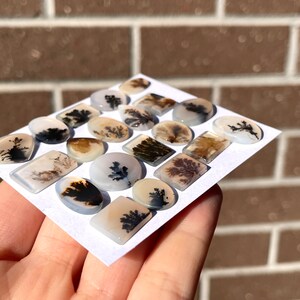 May include: A collection of 17 agate cabochons with dendritic patterns in shades of white, brown, and black. The cabochons are arranged on a white card.