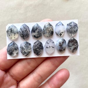 May include: Ten faceted dendritic agate cabochons in various shades of white and gray with black dendritic patterns. The cabochons are arranged in two rows on a white card.