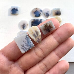 May include: Assortment of dendritic agate cabochons in various shapes and sizes. The cabochons feature a white, brown, and gray color scheme with dendritic patterns.