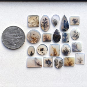May include: A collection of 19 agate cabochons with dendritic patterns in shades of brown, black, and white. The cabochons are arranged in a grid pattern on a white surface.