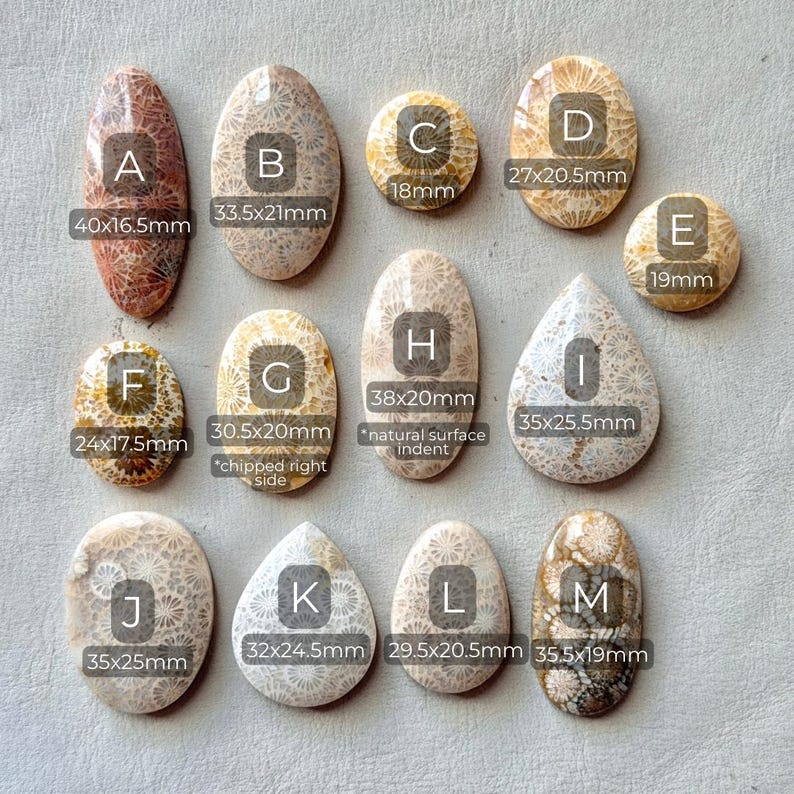 Wire Wrapping Shape Patterns 1pc 18-40mm Fossil Coral Cabochon - Agatized Fossilized Flatback Flower ...