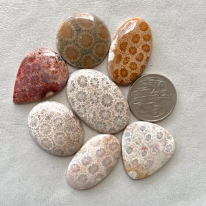 Fossil Coral Cabochon - Agatized Fossilized flatback flower pattern natural gemstone - Macrame wire wrapping pendant Supplies E2