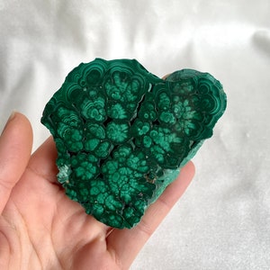 Natural Flower Malachite Slab 140g - Gemstones Specimen Home Decor Photography Prop Crystals Rocks