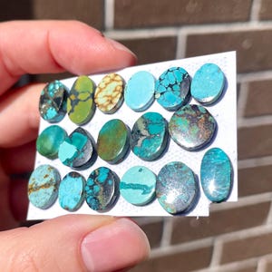 May include: A collection of oval-shaped turquoise gemstones in various shades of blue, green, and brown. The stones are arranged on a white card, showcasing their unique patterns and textures. The gemstones are held by a hand.
