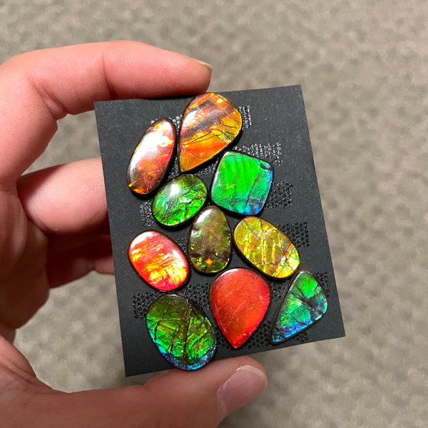 1x Canadian Ammolite Flatback Cabochon - Ring size Oval Square Blue Yellow Green Red - Natural Gemstones Crystals Pendant Jewelry Setting