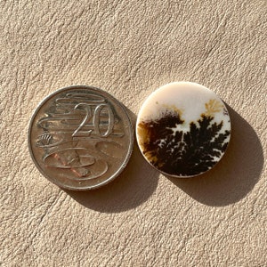 Pu&ograve; includere: Primo piano di un cabochon rotondo in agata bianca e marrone con un motivo dendritico. L'agata &egrave; circa delle dimensioni di una moneta australiana da 20 centesimi.
