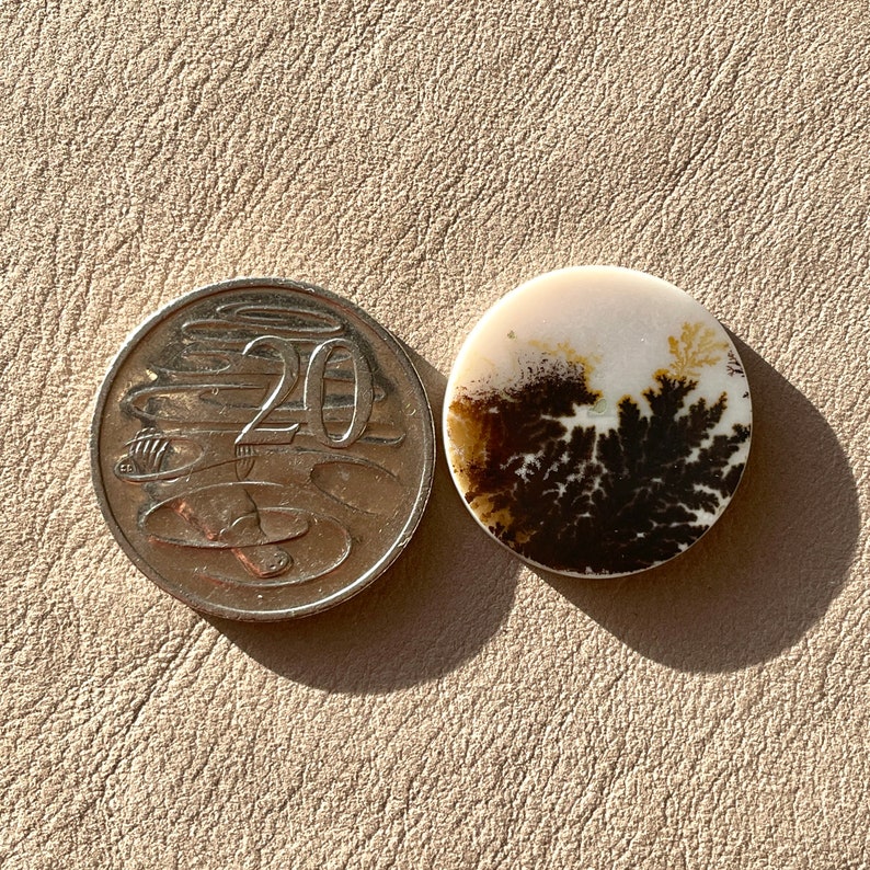 Pu&ograve; includere: Primo piano di un cabochon rotondo in agata bianca e marrone con un motivo dendritico. L'agata &egrave; circa delle dimensioni di una moneta australiana da 20 centesimi.