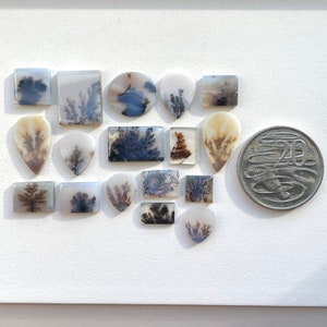 May include: Assortment of 17 dendritic agate cabochons in various shapes and sizes. The cabochons feature a white, gray, and brown background with black dendritic patterns.