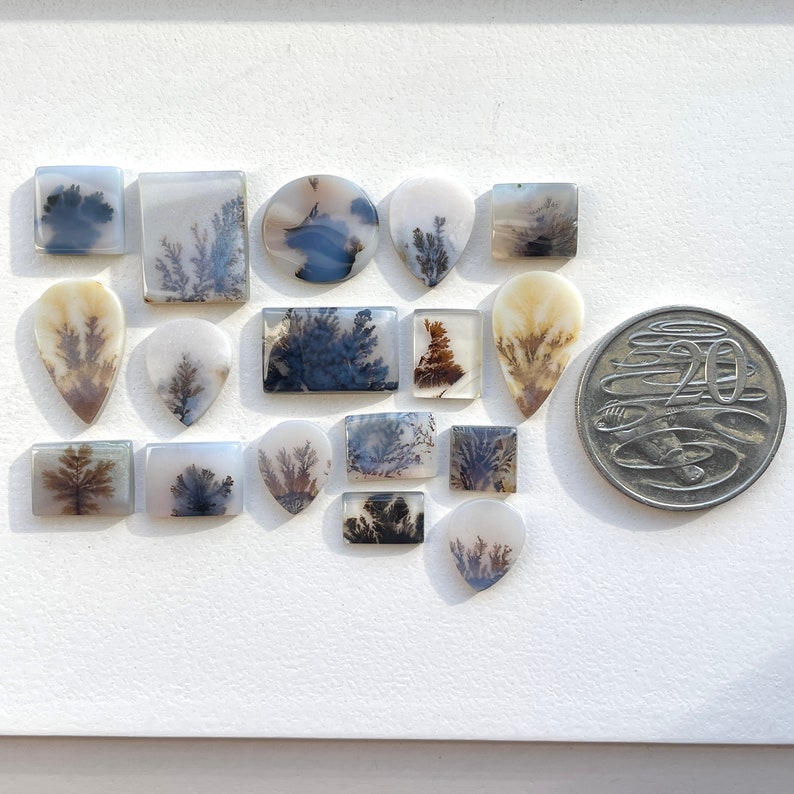 May include: Assortment of 17 dendritic agate cabochons in various shapes and sizes. The cabochons feature a white, gray, and brown background with black dendritic patterns.