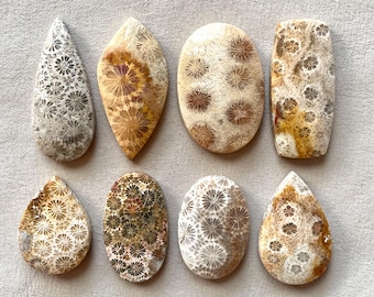 Può includere: Otto cabochon di corallo fossilizzato in varie forme e dimensioni. I cabochon sono una miscela di bianco, marrone e grigio con un motivo floreale.