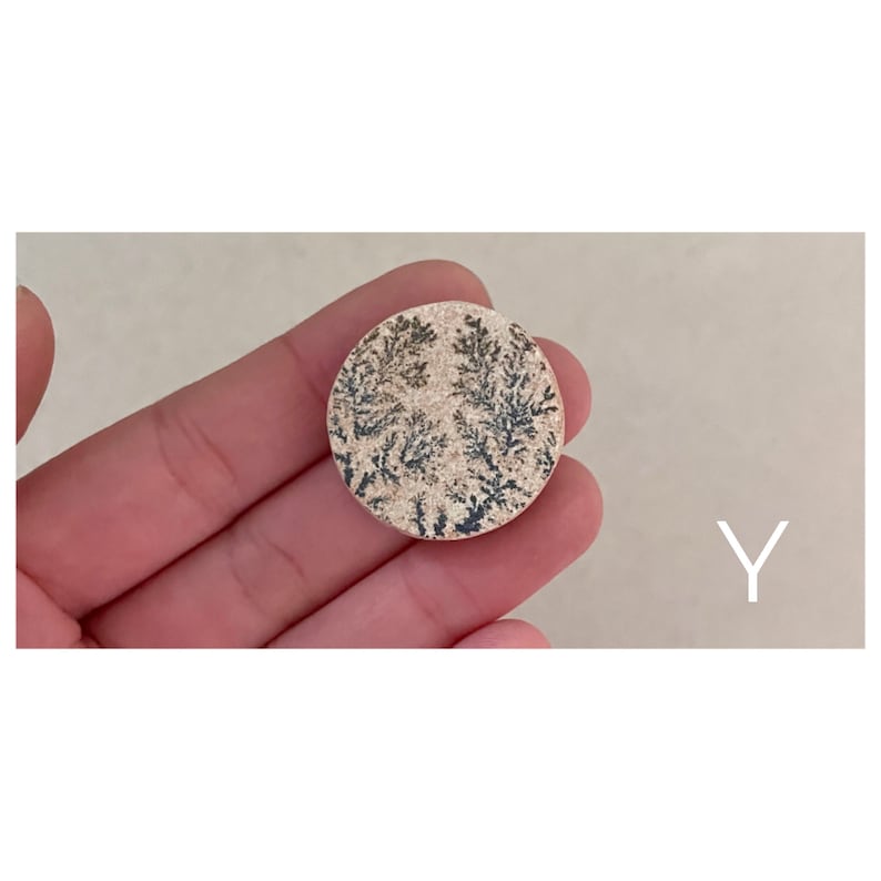 Puede incluir: Una piedra redonda de color beige con un patr&oacute;n dendr&iacute;tico gris oscuro. La piedra es aproximadamente del tama&ntilde;o de una moneda de 20 c&eacute;ntimos de euro.
