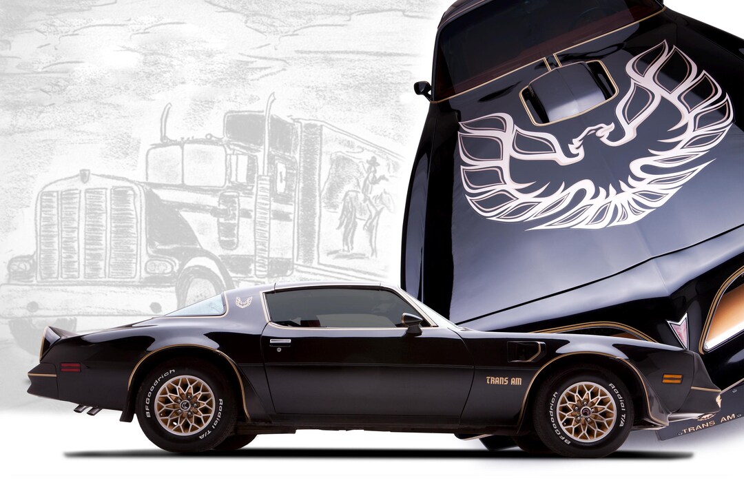 Classic Cars Police Pursuit Vehicles In Smokey And The Bandit Bit Ii 1980 - Foto 11