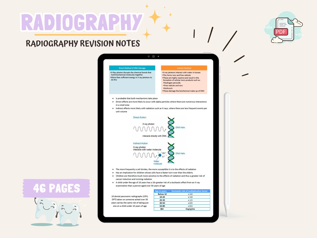 Radiography Revision Guide Dental Student Study Notes Dental Hygienist