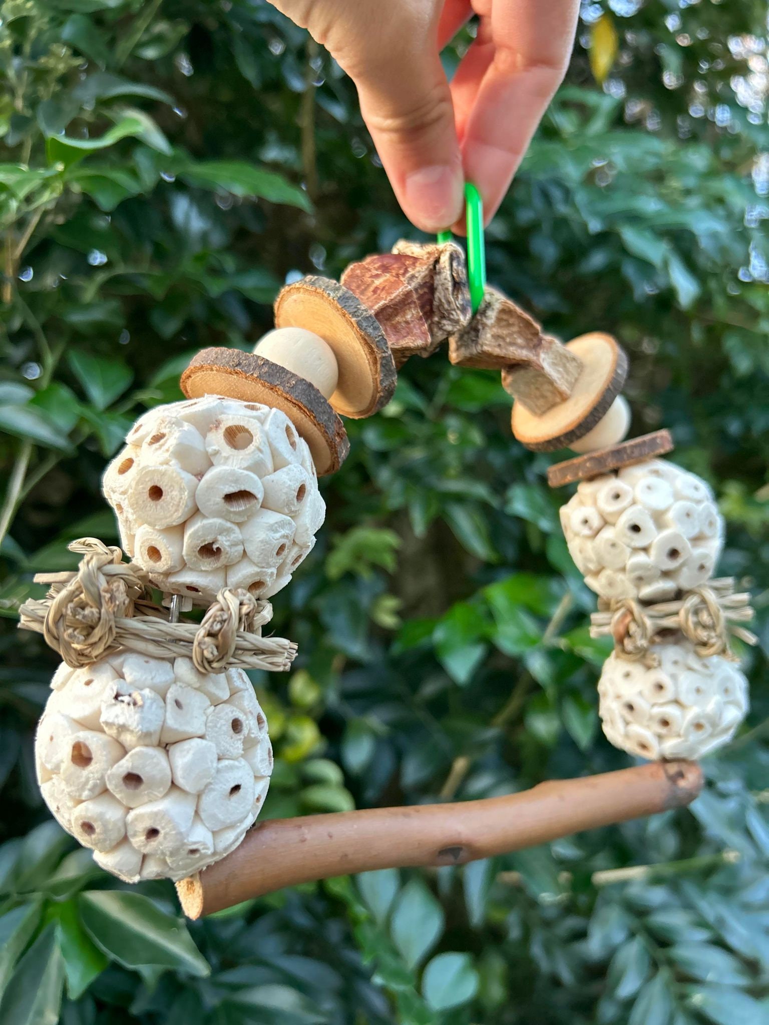 Swinging Perch Bird Toys Toys for Birds Toys for Parrots Etsy Australia