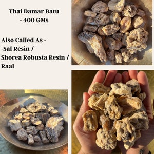 400 GMs Thai Damar Batu | Sal Baum Resin | Shorea Robusta Baumharz | Reines und natürliches A + Grade Thai Damar Batu Sal Harz | Weihrauchversorgung