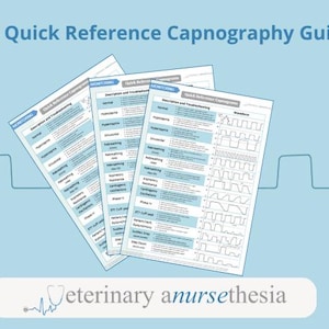 Può includere: Tre fogli A4 della Guida di riferimento rapido alla capnografia su sfondo azzurro. I fogli mostrano testo e diagrammi di forma d'onda. Il testo include descrizioni e informazioni sulla risoluzione dei problemi. La parte inferiore dell'immagine riporta la scritta "Veterinary anursethesia".