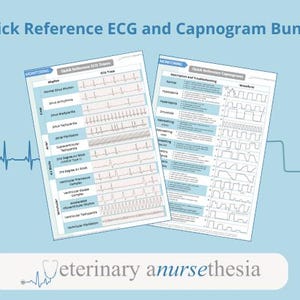 Puede incluir: Dos hojas de referencia tituladas "Quick Reference ECG and Capnogram Bundle" sobre un fondo azul claro. Las hojas muestran trazos de ECG y formas de onda de capnograma. La parte inferior de la imagen tiene el texto "Veterinary anursethesia" con un gráfico de estetoscopio.