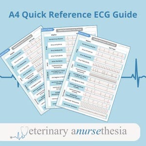 May include: A4 Quick Reference ECG Guide. Three light blue reference sheets with ECG traces and medical terms. The sheets are labeled "Quick Reference ECG Traces" and "Monitoring". The bottom of the image has the text "Veterinary anursethesia".