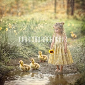 Puede incluir: Una niña pequeña con un vestido amarillo floral sostiene un girasol y mira a tres patitos amarillos en un arroyo. Los patitos están en un arroyo poco profundo con hierba verde y flores en el fondo.