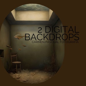 Puede incluir: Un telón de fondo digital que presenta una habitación con un tragaluz, una silla y peces nadando en el agua. El texto "2 DIGITAL BACKDROPS CARMEN PASCUAL FOTOGRAFIA" se muestra en la pared.