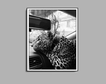 Impresión de pantera en el coche, póster de guepardo, arte mural en blanco y negro, fotografía vintage, impresión de moda, década de 1950, decoración del hogar, descarga digital