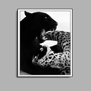 Cheetah and Jaguar Print, Black and White, Panther Wall Art, Vintage Photography, Fashion Print, 1950s, Printable Wall Art, Digital Download