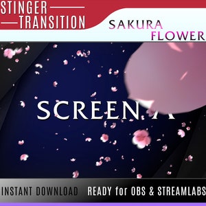Cherry Blossom transition, Sakura stinger, Flower stinger transition, stream transitions japon