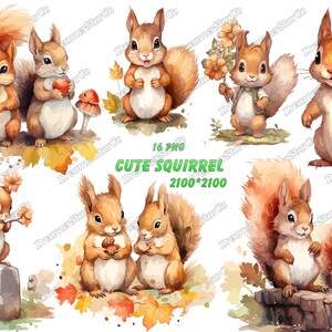 Clipart scoiattolo, design t-shirt, acquerello, stile acquerello, piccolo scoiattolo, illustrazione vettoriale, DreamerStarCo