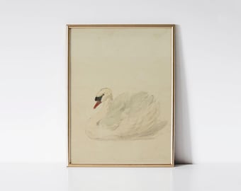 Vintage Swan Print, Antique nursery wall décor, Swan painting, French country décor.