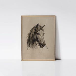 Vintage Head of a Horse Drawing, Heywood Hardy art, Antique Horse décor, Equine wall art gift.
