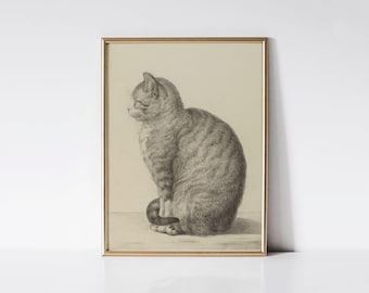 Sitting cat, Happy cat print, Antique cat drawing, Cat lover gift.