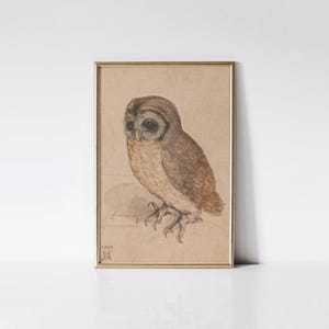 The Little Owl 1506 by Albrecht Dürer Print, Vintage Renaissance Art, Cottagecore Bedroom Wall Decor, Bird Watcher Artist Gift for Teacher