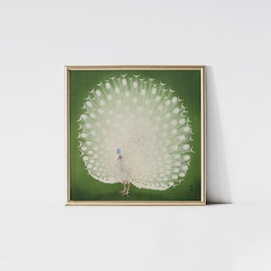 White Peacock, Bird wall art, Japanese woodblock art, Asian wall art, Bird painting.