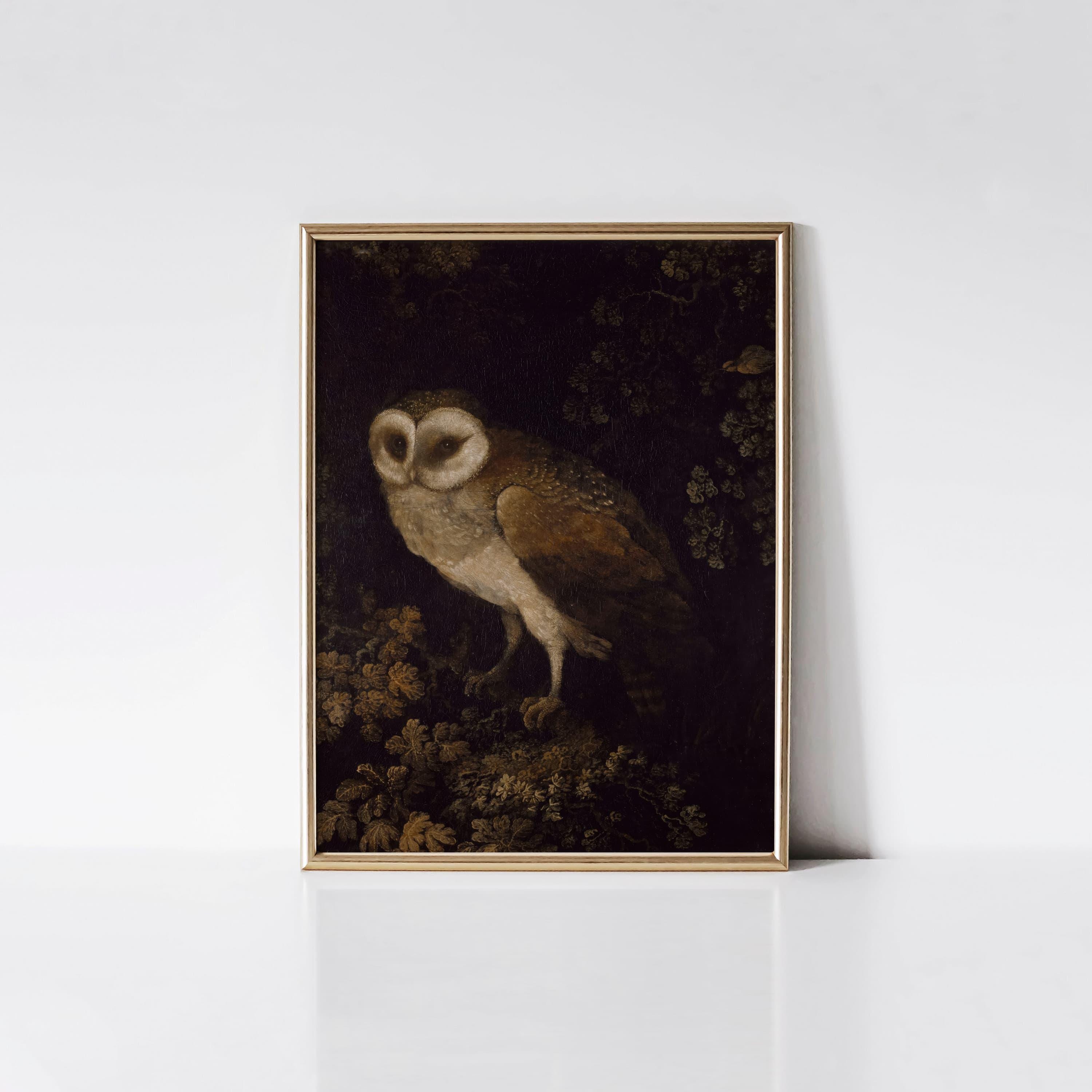 An Owl 1780 by Moses Haughton the Elder Print, Rustic Farmhouse Wall Art, Cottagecore Bird Lover Gif