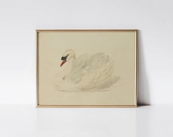 Vintage swan print, Antique nursery wall art, Neutral girls room décor, Swan painting.