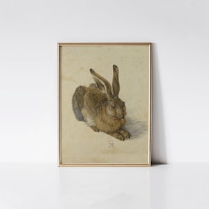 Hare 1502 by Albrecht Dürer print.